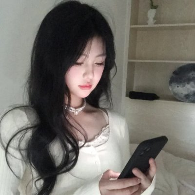 企鹅之岛：福克兰